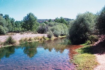 bonaval1