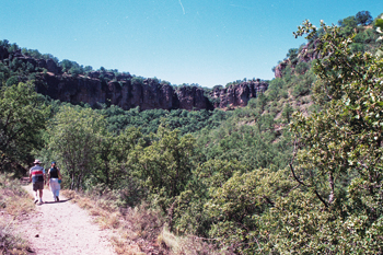 bonaval5