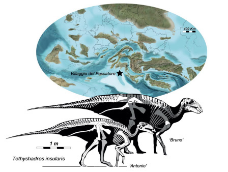 UAH Dinosaurios Ilustraciones Marco Muscioni