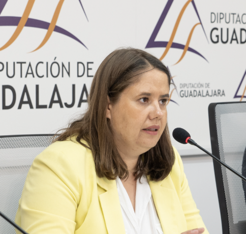 elena caneque diputacion