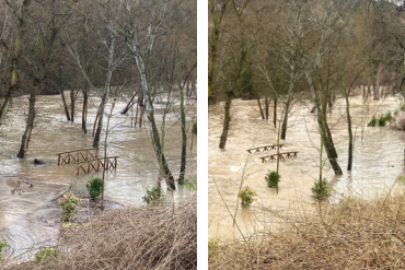 subida rio henares febrero 2026