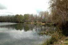 El Henares, un importante ecosistema en Azuqueca. Reserva