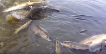 Captura de pantalla 2016-08-28 a las 21.08.47