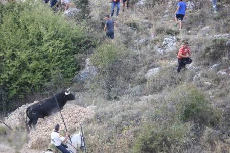 brihuega-encierro-2