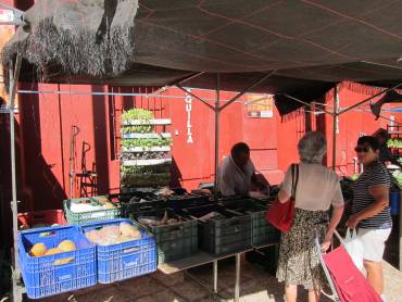 mercadillo4
