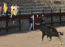 toros hita