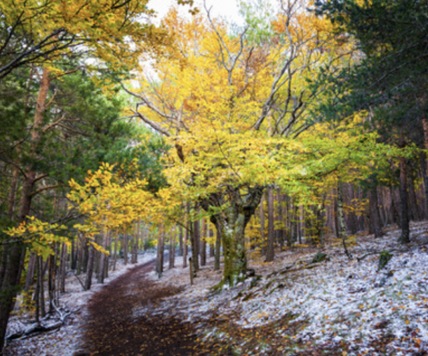 parque natural sierra norte 1