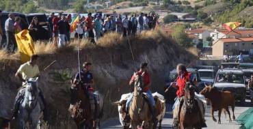 almoguera encierro