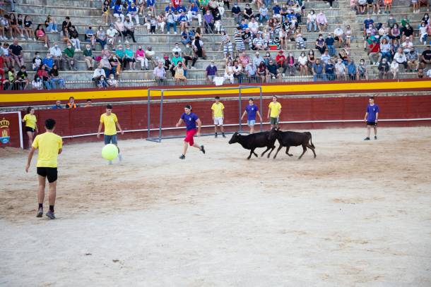 futbol vacas trillo