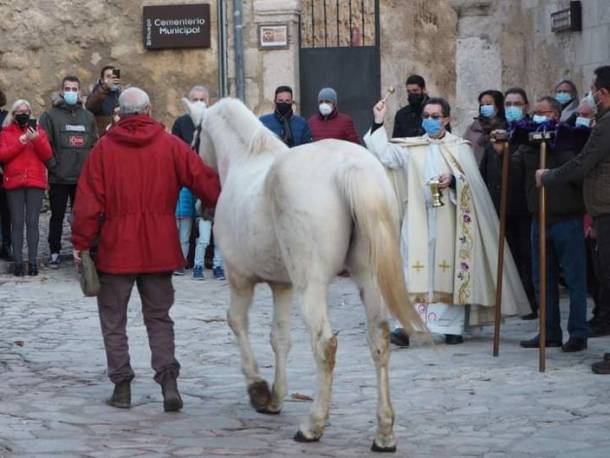 BENDICION SAN ANTON 1 brihuega