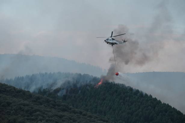 Incendio Sierra Norte  - Segunda Galería Eduardo Bonilla 10