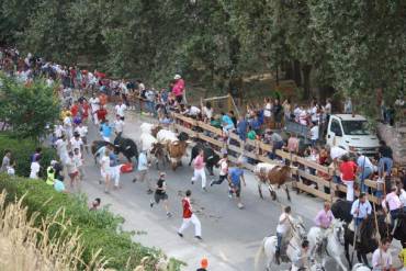 brihuega-encierro2016