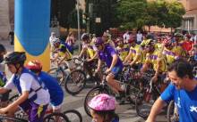 Día de la Bicicleta 2014