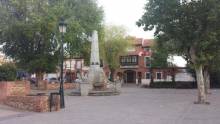 Alovera