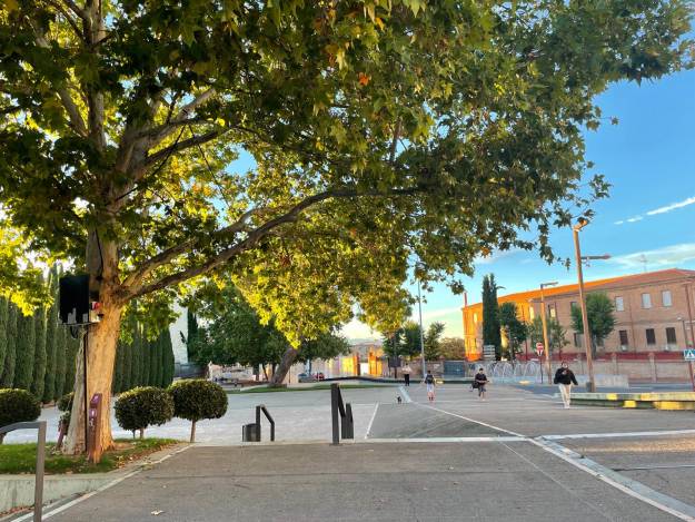 plaza de los caidos