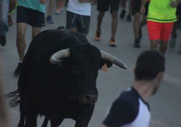 encierro cabanillas