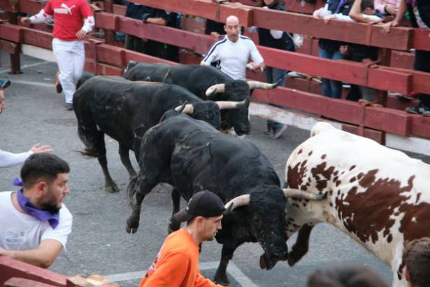Ferias GU 2023 Tercer encierro Eduardo Bonilla 9