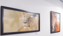 exposicion