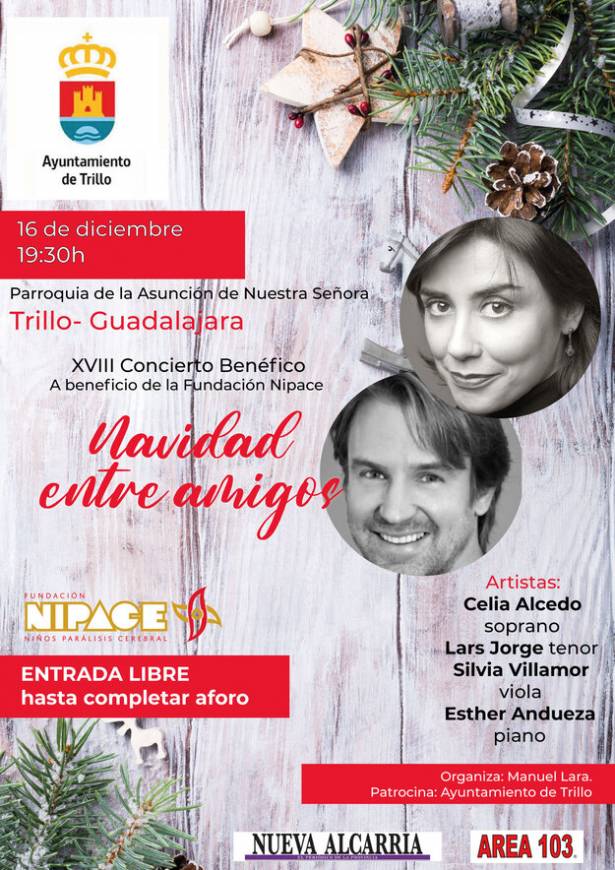 NIPACE Cartel Navidad entre amigos