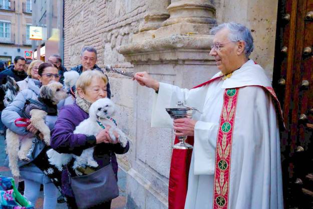 San Antón bendición Animales Santiago 1
