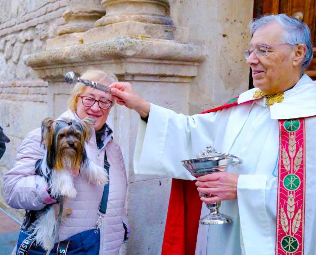 San Antón bendición Animales Santiago 2