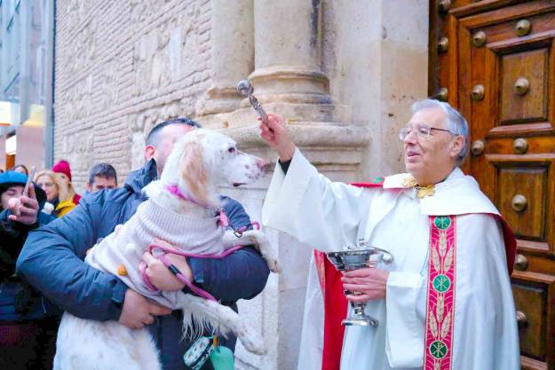 San Antón bendición Animales Santiago 3