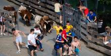 feria chica trillo 25-9