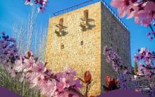 Torreón del Alamín flores