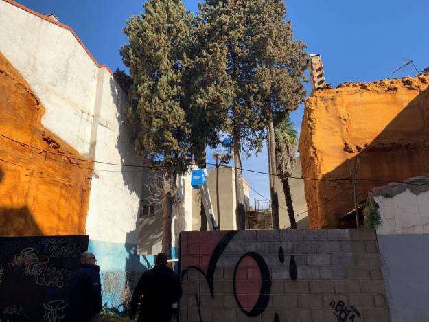 tala arboles casa del cuento