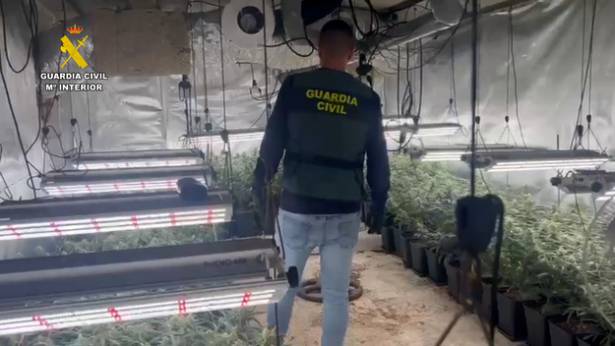 Guardia Civil Cannabis Op Murabe 3