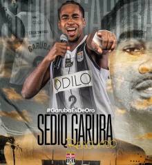 Sediq