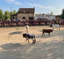 PLAZA TOROS USANOS 1 1