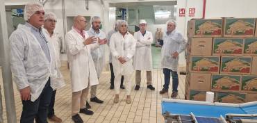 ayudas focal mondejar