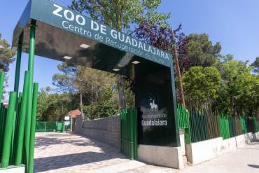 zoo guadalajara