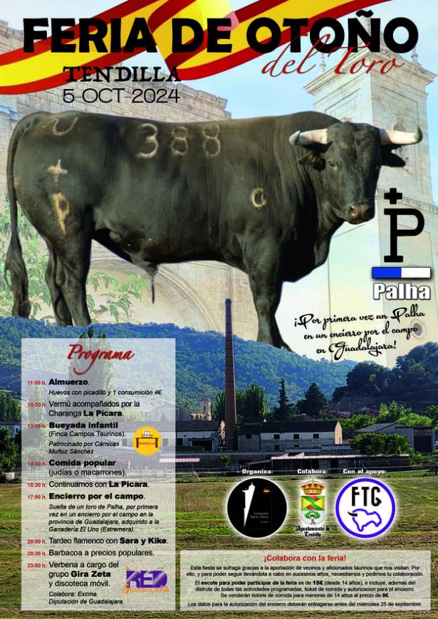 Feria del Toro Tendilla