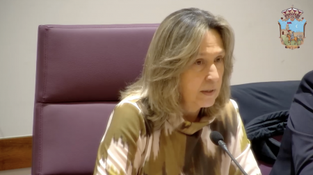 ana guarinos pleno presupuestos 2025