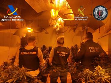 marihuana torrejon del rey