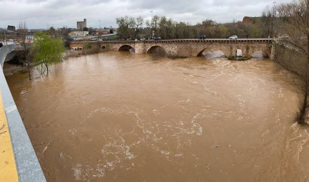 Henares-crecido