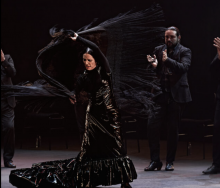 flamenco