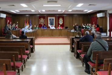 Pleno1 1