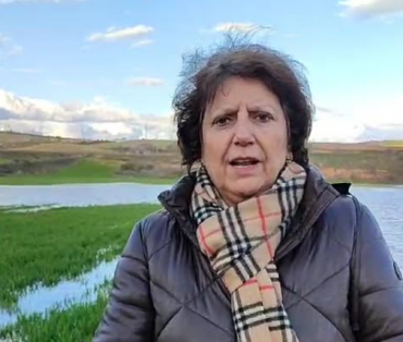 concha casado pp