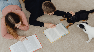 perros lectura leer