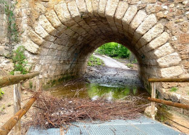 henares tras crecida abril 2025 10