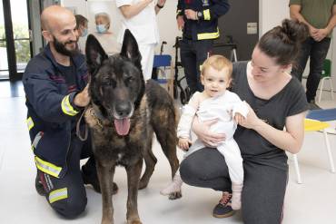 Hospital La pecera DIA NIÑO HOSPITALIZADO PERROS 3