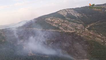 Infocam incendio La Huerce