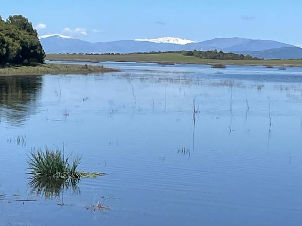 Lagunas-Belena