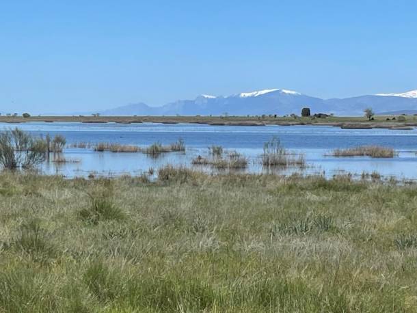 Lagunas-Belena1
