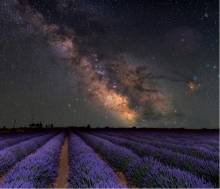 campos lavanda nebolusas estrellas