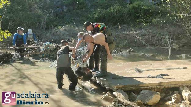 Canal Entrepeñas - Buendía rescate carpas 8