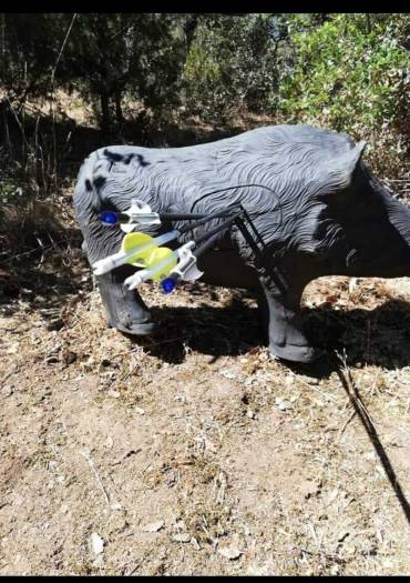 Caza Tiro con Arco 2